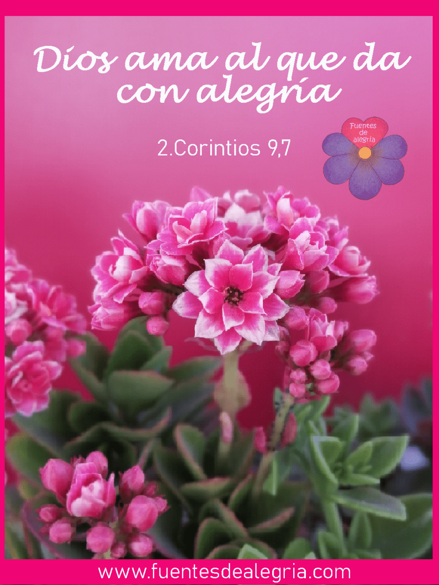 Día04: Dios ama al que da con alegría (2.Corintios&nbsp;9,7)